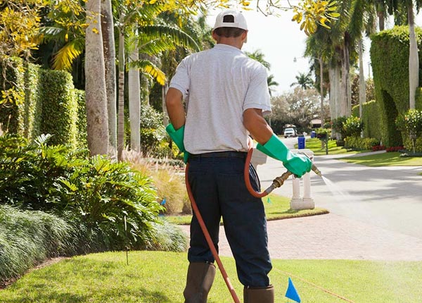 About Montfort WI Pest Control